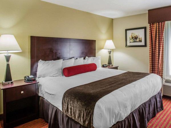 Quality Suites Nashville Airport : photo 8 de la chambre suite lit king-size – non-fumeurs