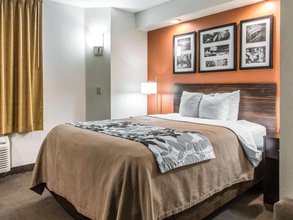 Sleep Inn : photo 3 de la chambre chambre lit queen-size - accessible aux personnes à mobilité réduite 