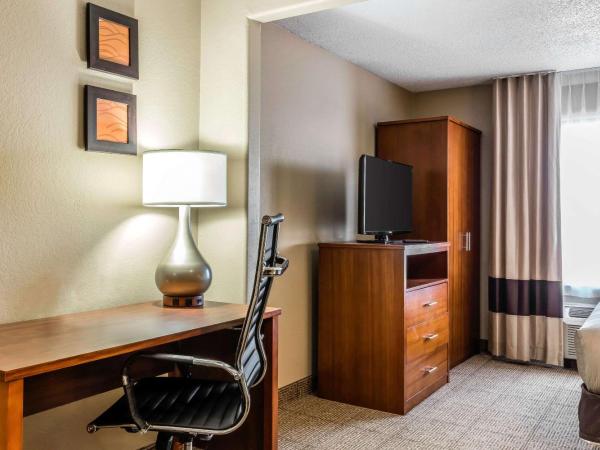 Comfort Inn & Suites Airport-American Way : photo 2 de la chambre suite lit king-size