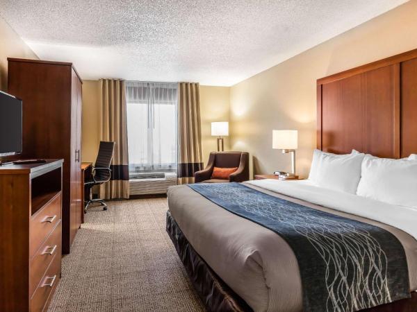 Comfort Inn & Suites Airport-American Way : photo 4 de la chambre chambre lit king-size - non-fumeurs