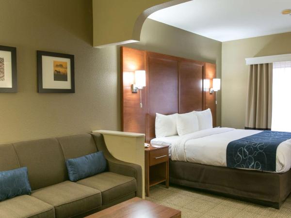 Comfort Suites Austin NW Lakeline : photo 3 de la chambre suite lit king-size – non-fumeurs