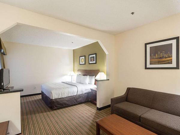 Quality Inn & Suites West Chase : photo 2 de la chambre king room with sofa bed and hot tub - non-smoking