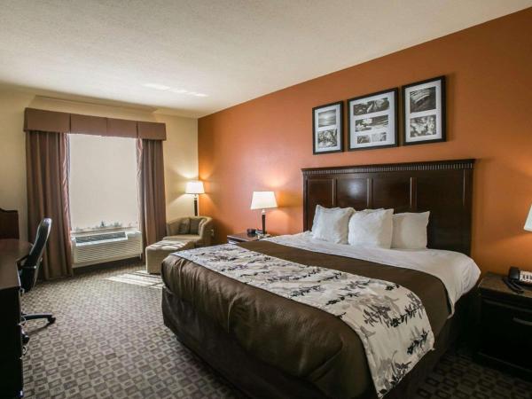 Sleep Inn & Suites Hwy 290-NW Freeway : photo 3 de la chambre chambre lit king-size - non-fumeurs