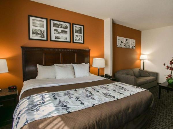 Sleep Inn & Suites Hwy 290-NW Freeway : photo 5 de la chambre suite lit king-size – non-fumeurs