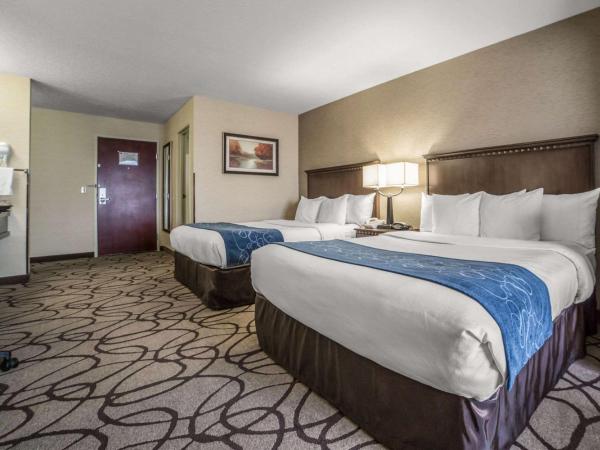 Comfort Suites Airport : photo 2 de la chambre suite lit queen-size – non-fumeurs