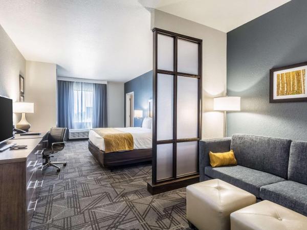 Comfort Inn & Suites Salt Lake City Airport : photo 8 de la chambre suite lit king-size - non-fumeurs/couloir intérieur