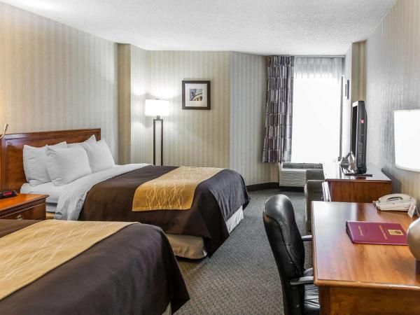 Comfort Inn Pentagon City : photo 5 de la chambre chambre double avec 2 lits doubles - non-fumeurs