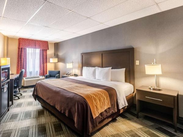 Comfort Inn Ballston : photo 3 de la chambre chambre lit king-size standard - vue sur cour