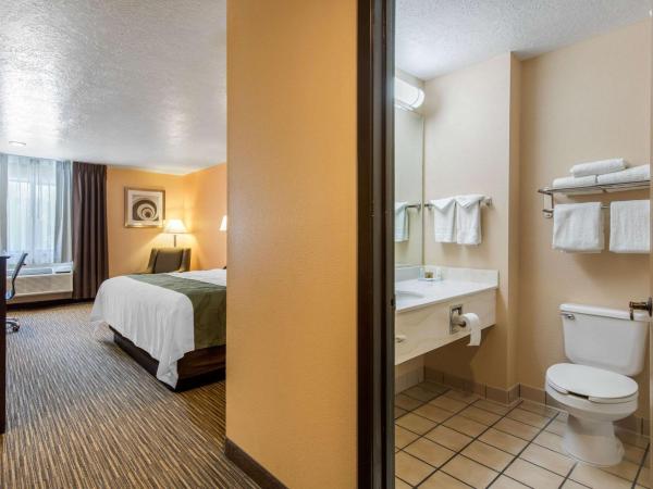 Quality Inn & Suites Albuquerque North near Balloon Fiesta Park : photo 3 de la chambre chambre lit king-size - fumeurs