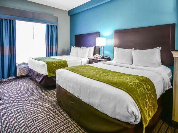 Comfort Suites Tampa - Brandon : photo 3 de la chambre suite 2 lits queen-size - non-fumeurs