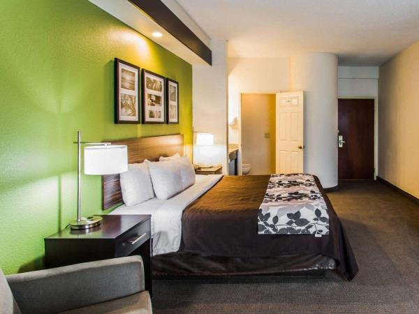 Sleep Inn & Suites Orlando International Airport : photo 2 de la chambre chambre lit king-size - non-fumeurs