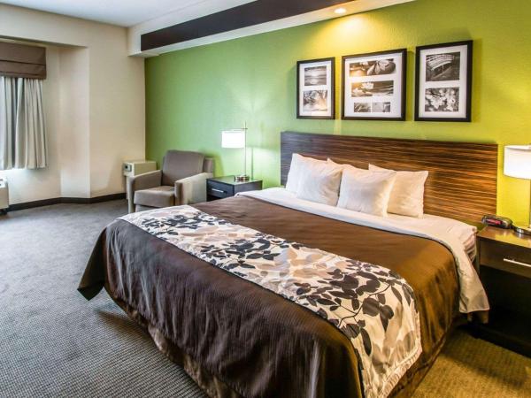 Sleep Inn & Suites Orlando International Airport : photo 3 de la chambre chambre lit king-size - non-fumeurs