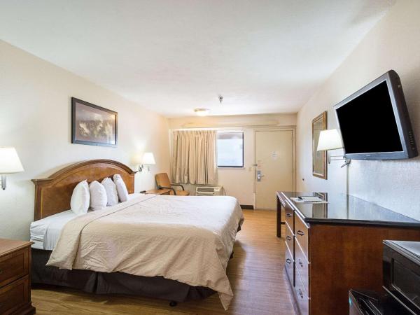 Rodeway Inn Tampa near Busch Gardens-USF : photo 3 de la chambre chambre lit king-size