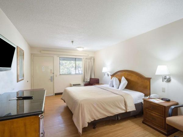 Rodeway Inn Tampa near Busch Gardens-USF : photo 4 de la chambre chambre lit king-size - non-fumeurs