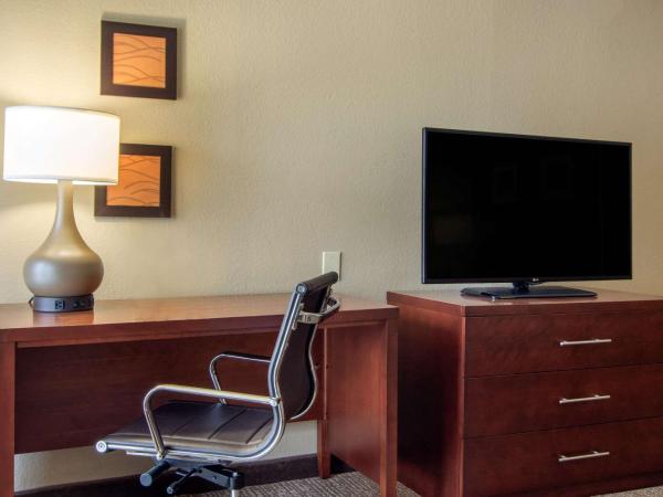 Comfort Inn Sandy Springs - Perimeter : photo 4 de la chambre chambre lit king-size - non-fumeurs