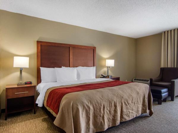 Comfort Inn Sandy Springs - Perimeter : photo 1 de la chambre chambre lit king-size - non-fumeurs