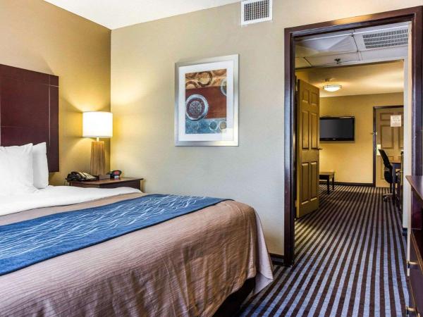 Comfort Inn & Suites Ballpark Area : photo 2 de la chambre suite 1 chambre lit king-size avec canapé-lit - non-fumeurs