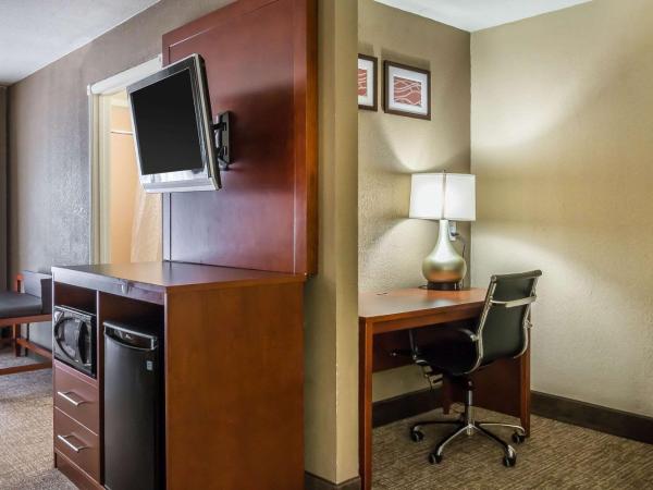 Comfort Inn Savannah : photo 3 de la chambre suite lit king-size