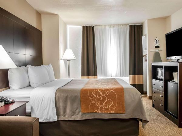 Comfort Suites North Albuquerque Balloon Fiesta Park : photo 3 de la chambre suite lit king-size – non-fumeurs