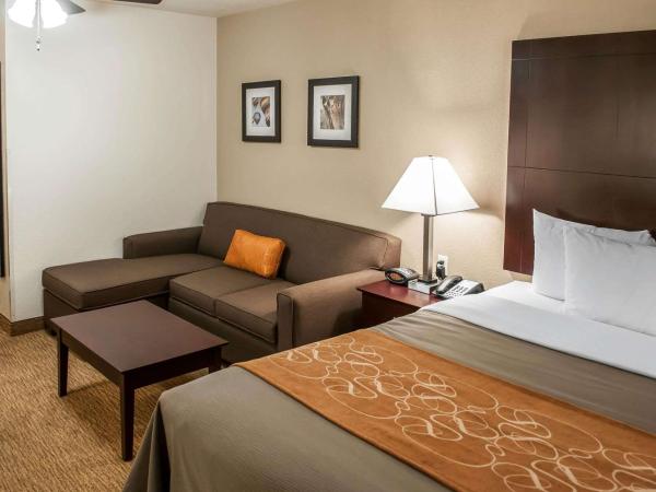 Comfort Suites North Albuquerque Balloon Fiesta Park : photo 7 de la chambre suite lit king-size – non-fumeurs