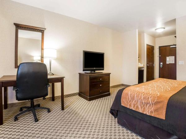 Comfort Inn & Suites Henderson - Las Vegas : photo 2 de la chambre chambre lit king-size - non-fumeurs