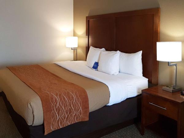 Comfort Inn I-10 West at 51st Ave : photo 1 de la chambre chambre lit king-size - non-fumeurs