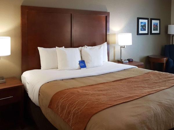 Comfort Inn I-10 West at 51st Ave : photo 2 de la chambre chambre lit king-size - non-fumeurs