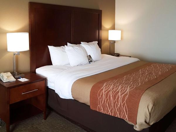 Comfort Inn I-10 West at 51st Ave : photo 6 de la chambre chambre lit king-size - non-fumeurs