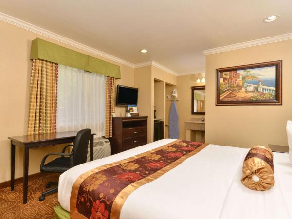 Rodeway Inn San Diego Near SDSU : photo 2 de la chambre chambre lit king-size - non-fumeurs