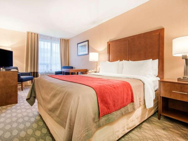 Comfort Inn Fallsview : photo 3 de la chambre chambre lit queen-size