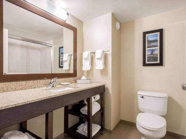 Comfort Inn & Suites : photo 6 de la chambre chambre lit king-size - non-fumeurs