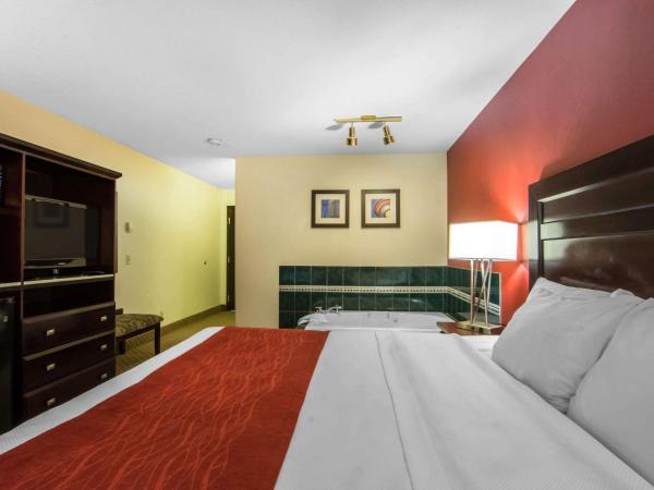 Comfort Inn & Suites Airport South : photo 3 de la chambre chambre lit king-size avec baignoire spa