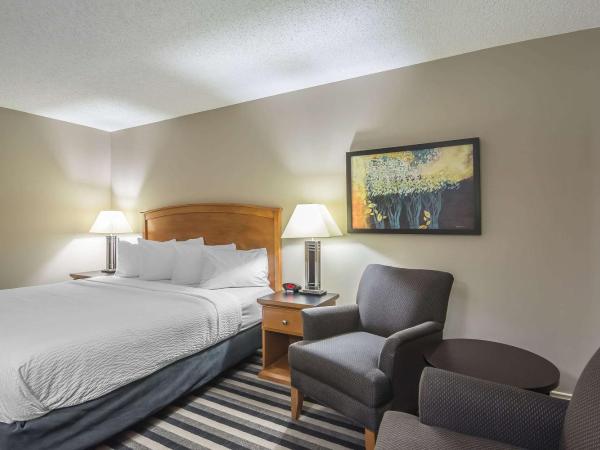Quality Inn West Edmonton : photo 6 de la chambre chambre lit king-size standard - non-fumeurs