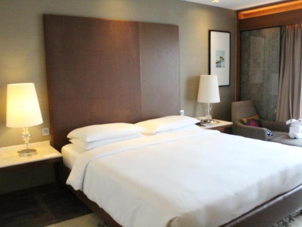 Hyatt Ahmedabad : photo 2 de la chambre chambre lit king-size avec accès au club - vue sur ville