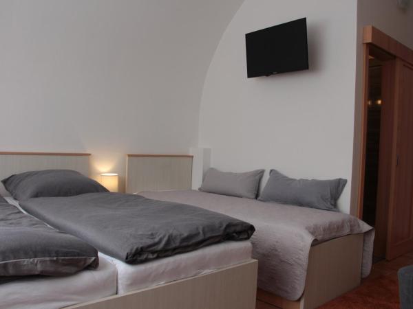 Penzion u Pidly : photo 8 de la chambre chambre triple avec salle de bains privative