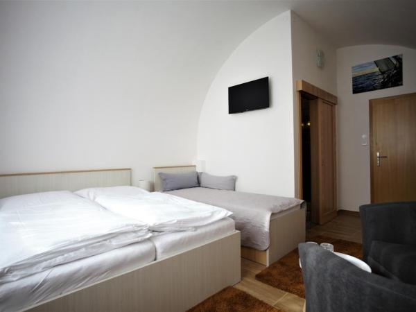 Penzion u Pidly : photo 6 de la chambre chambre triple avec salle de bains privative