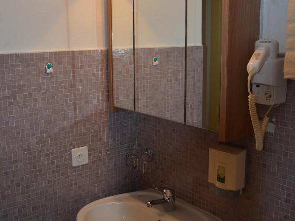 Hotel Dischma - FREE BUS AND TRAIN TICKET : photo 6 de la chambre chambre double ou lits jumeaux