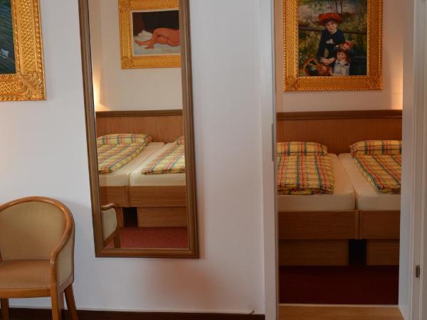 Hotel Dischma - FREE BUS AND TRAIN TICKET : photo 7 de la chambre chambre double ou lits jumeaux