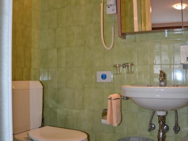 Hotel Dischma - FREE BUS AND TRAIN TICKET : photo 4 de la chambre chambre simple avec balcon