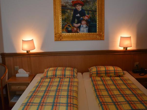 Hotel Dischma - FREE BUS AND TRAIN TICKET : photo 9 de la chambre chambre double ou lits jumeaux