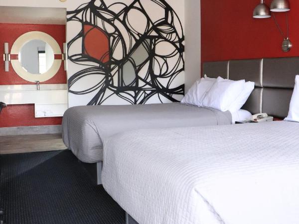 University Inn : photo 5 de la chambre chambre avec 2 lits doubles