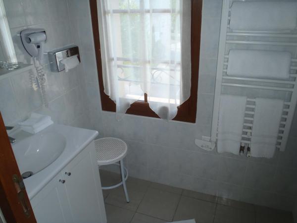 Grand Hôtel du Cours : photo 4 de la chambre chambre lits jumeaux avec douche