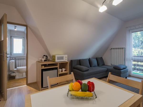 Willa pod Antałówką : photo 2 de la chambre chambre quadruple premium