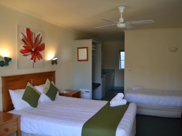 Colonial Lodge Motel : photo 6 de la chambre chambre simple lit queen-size avec baignoire spa
