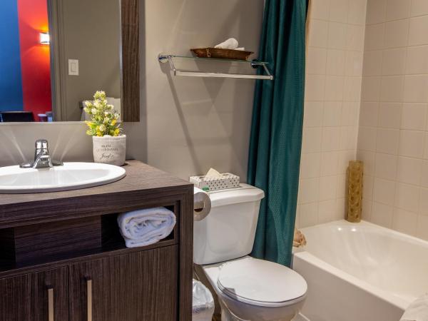 Hotel et Motel Le Chateauguay : photo 8 de la chambre chambre double avec 2 lits doubles et kitchenette