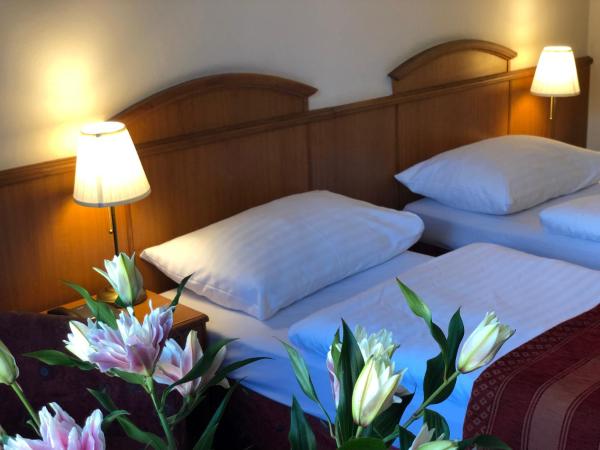 Kavalir : photo 2 de la chambre chambre double ou lits jumeaux