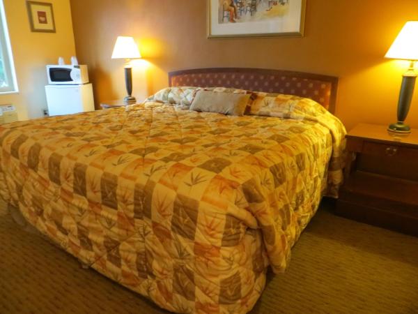 Cameo Motel - Portland : photo 6 de la chambre chambre lit king-size - non-fumeurs