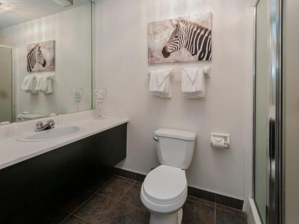 Hotel & Suites Monte-Cristo : photo 4 de la chambre suite lit king-size