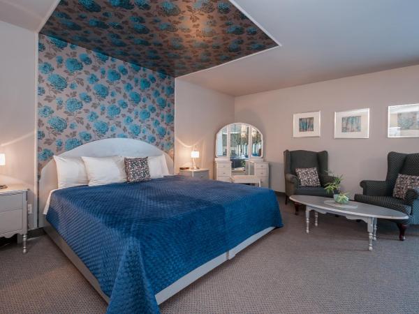 Hotel & Suites Monte-Cristo : photo 2 de la chambre studio lit king-size