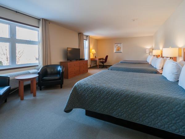 Hotel & Suites Monte-Cristo : photo 3 de la chambre chambre familiale